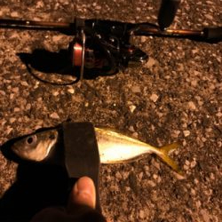 満月アジング…