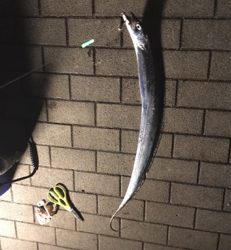 合わせが下手でした。