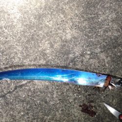 週末のタッチーチャレンジ