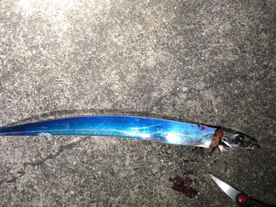 週末のタッチーチャレンジ