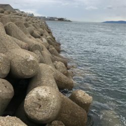 連日エギングボウズ無し(^｡^)