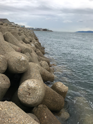 連日エギングボウズ無し(^｡^)