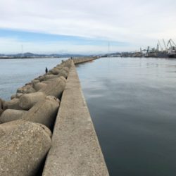 ようやくボウズ脱出