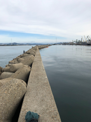 ようやくボウズ脱出