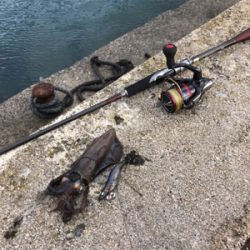 釣りの旅最終日！サゴシ、アオリイカ！