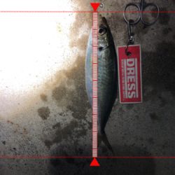 淡路島ランガン