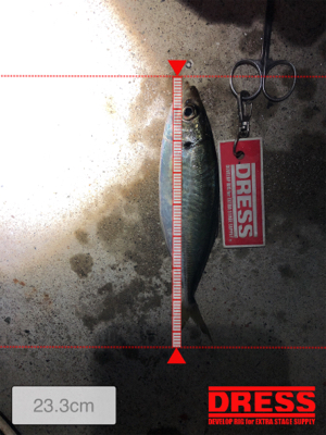 淡路島ランガン