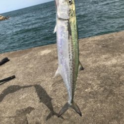 やっぱりショアジギングは面白いっ！