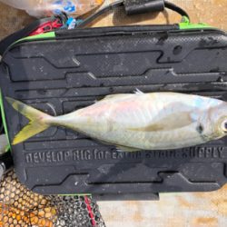 手漕ぎボート遊び