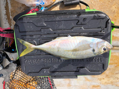 手漕ぎボート遊び