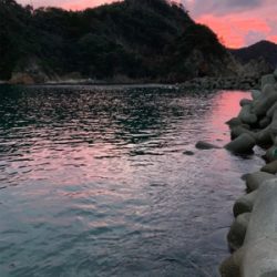 いいシーズンになってきました！