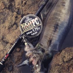 西海市大島某地磯エギング