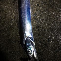 ボウズじゃなくて良かった