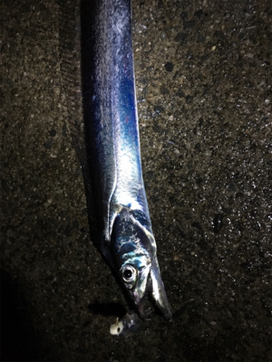 ボウズじゃなくて良かった