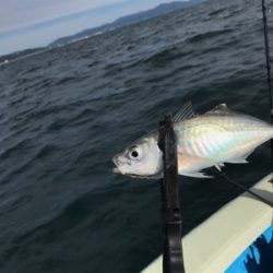 オフショアジギ初挑戦