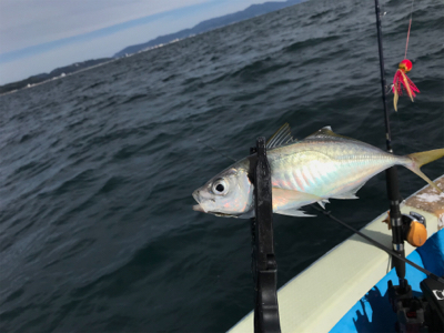オフショアジギ初挑戦