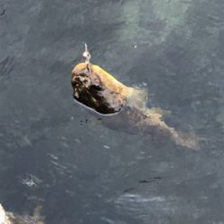 波予報が、、、