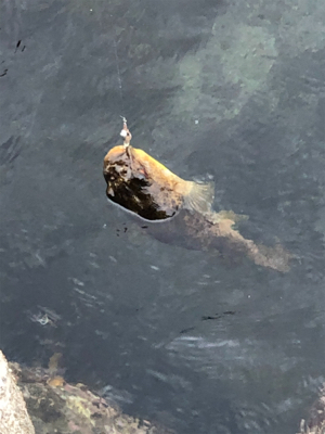 波予報が、、、