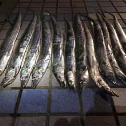 小さいけど…入れ食い