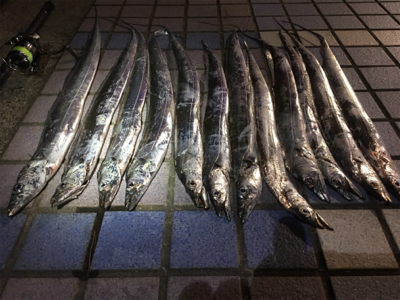 小さいけど…入れ食い