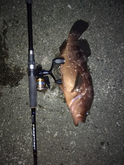 エギング………?