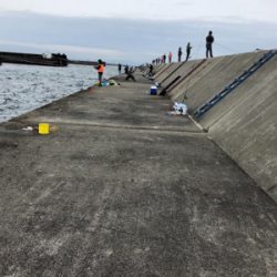 太刀魚　ハマチ　不発(＞人＜;)