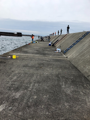 太刀魚　ハマチ　不発(＞人＜;)