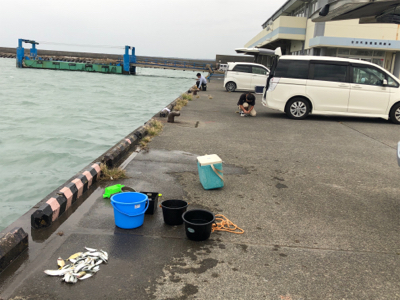 サッパ、メッキ、コノシロ