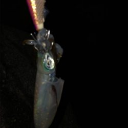 熱帯低気圧の雨がくる前に