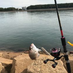 久しぶりに夫婦でキス釣り(^｡^)