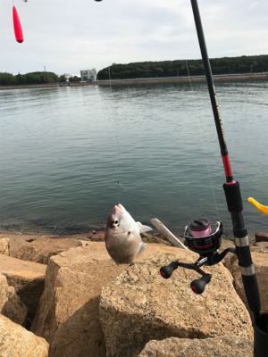 久しぶりに夫婦でキス釣り(^｡^)