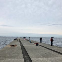 ポーアイ沖　釣果ぼちぼちも渋め