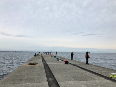 ポーアイ沖　釣果ぼちぼちも渋め