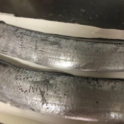 セットアッパーでタチウオ