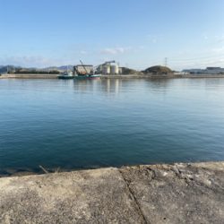 ポーズは逃れているが