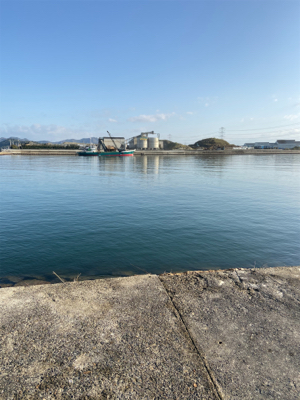 ポーズは逃れているが