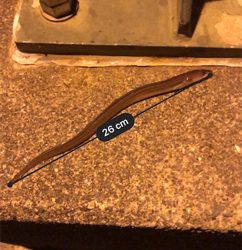 ちょこっと釣行