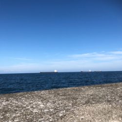 一文字でエソ祭り