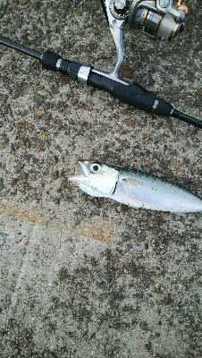 お隣さんに感謝