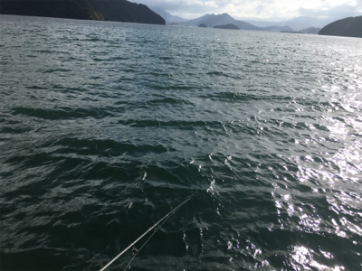 アオリイカ狙い