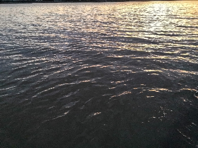 連戦でやっと2匹