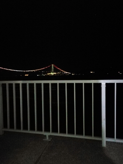 タチウオ狙いが…