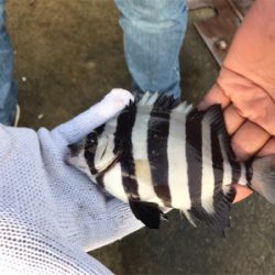 連休妻と釣り旅行