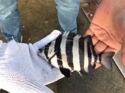 連休妻と釣り旅行