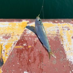 霞埠頭 ウール岸壁にて。