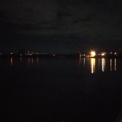 雨の後は釣れない？