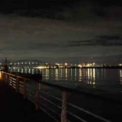 数が伸びないです