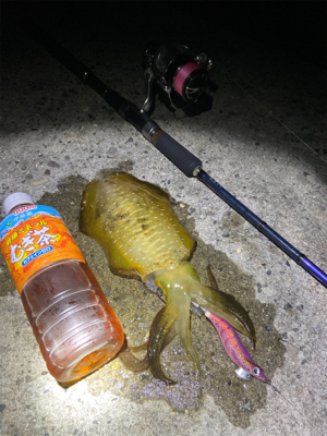 淡路島東側ランガン