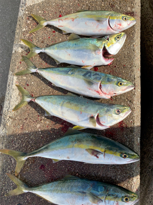 リミットメイク②