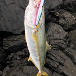 ショアプラッキング